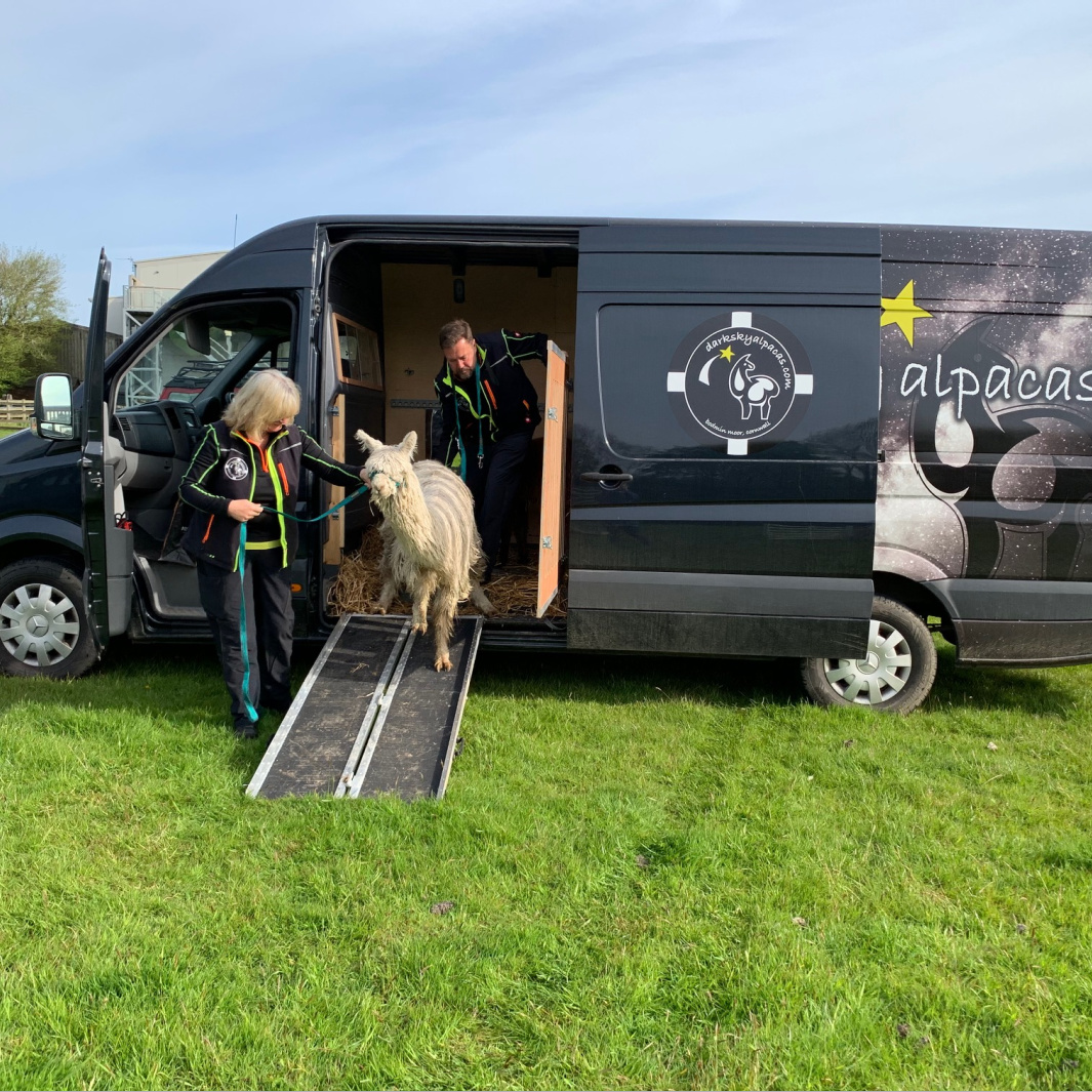 Alpaca Van Conversion 1 Animal Transport Conversions