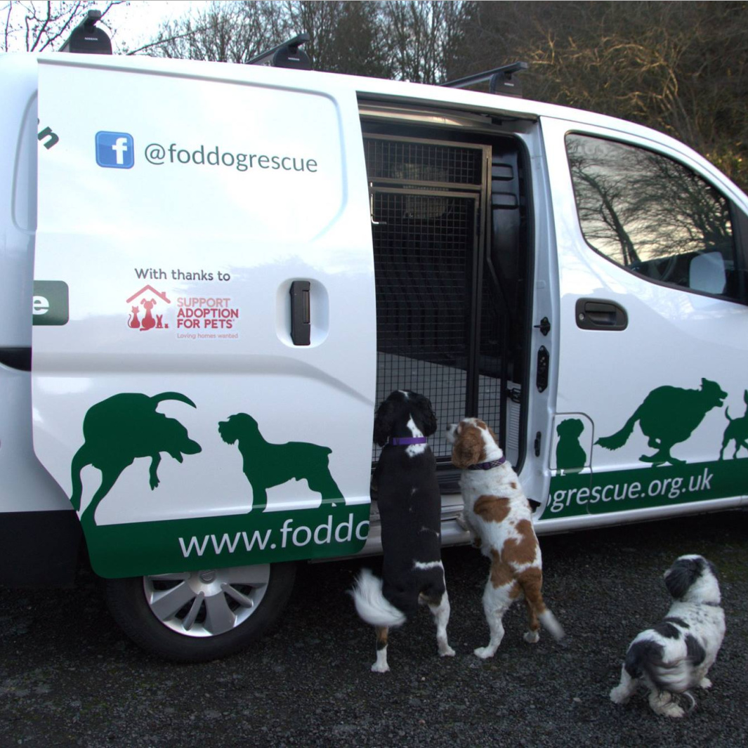 Forest Of Dean Dog Van Conversion 2 Animal Transport Conversions